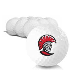 Tampa Spartans Golf Balls