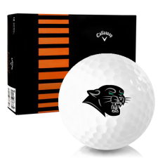 White CXR Control Plymouth State Panthers Golf Balls