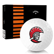 White CXR Control Tampa Spartans Golf Balls