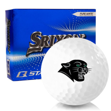 Q-Star 6 Plymouth State Panthers Golf Balls