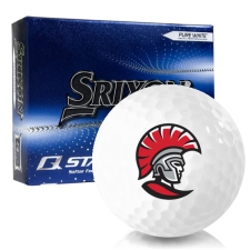 Q-Star Tour 4 Tampa Spartans Golf Balls