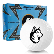 e9 Northeastern Huskies Golf Balls