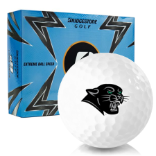 e9 Plymouth State Panthers Golf Balls