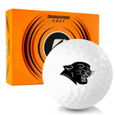 e6 Golf Plymouth State Panthers Balls