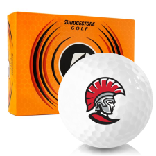 e6 Golf Tampa Spartans Balls