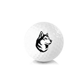 SpeedSoft Golf Balls - 2024 Model